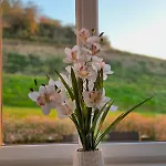 - L'acacia Holiday home Pont-d'Ouilly