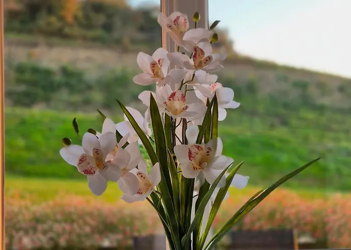 - L'acacia Holiday home Pont-d'Ouilly